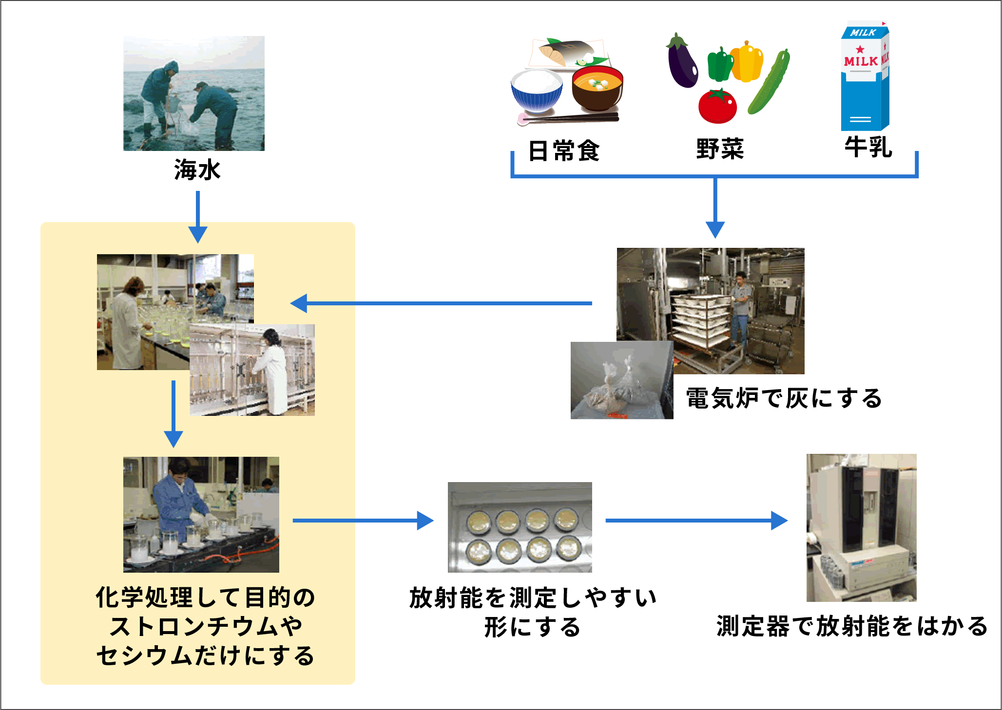 放射能の測定