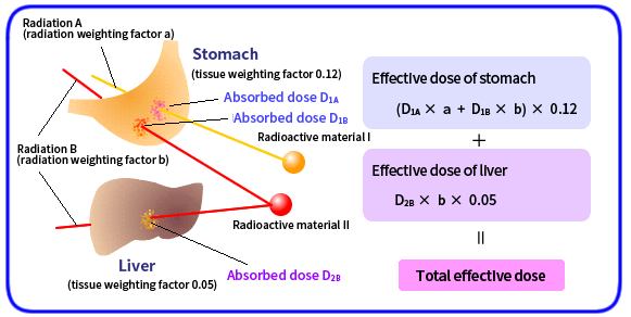 effective dose