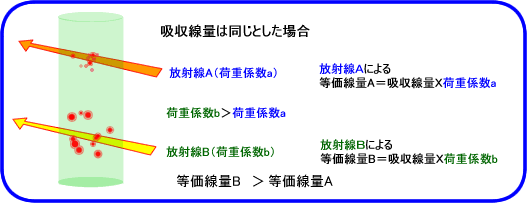 等価線量