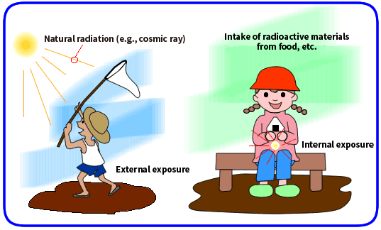 external and internal exposure